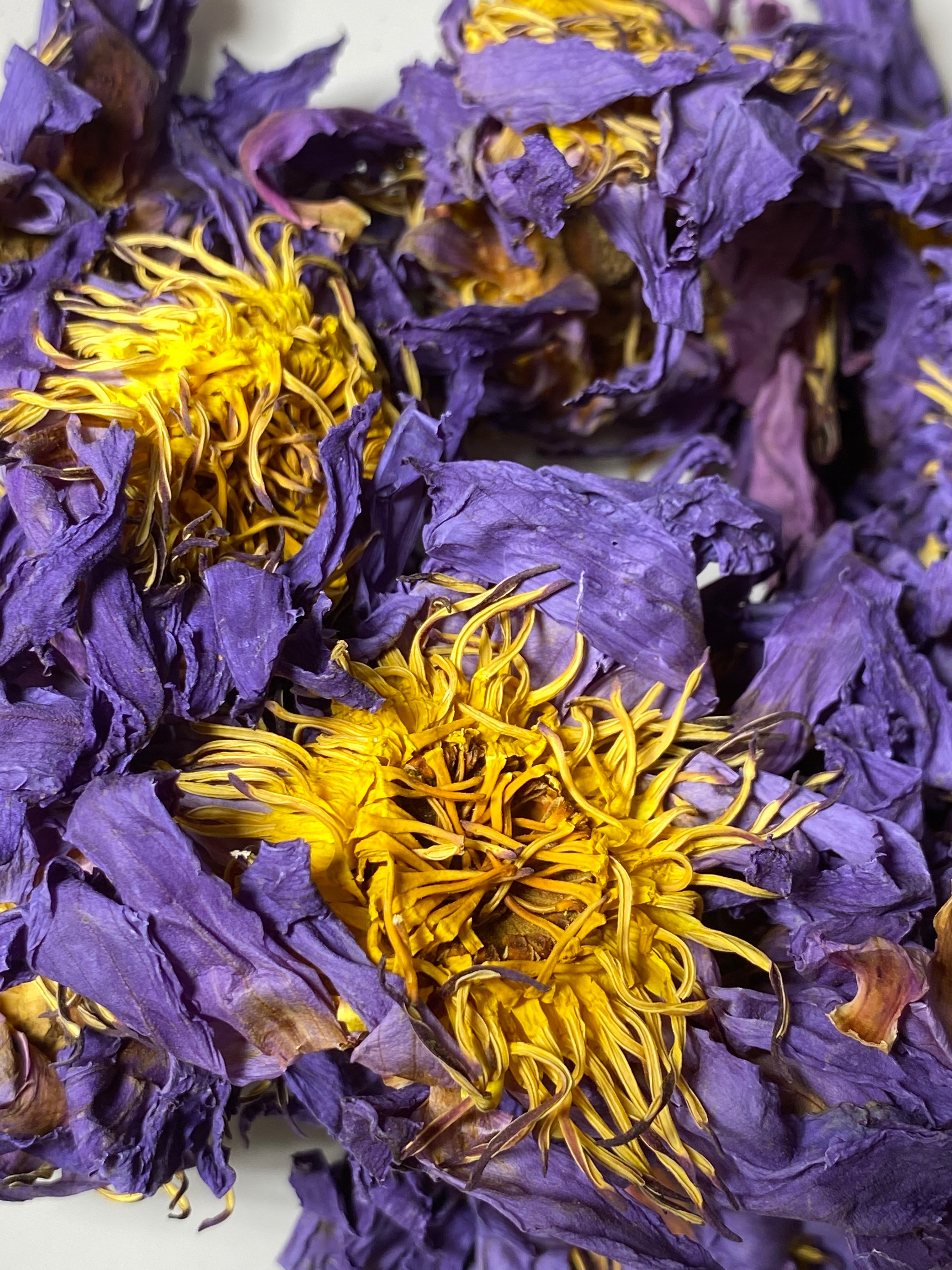 Blue Lotus Flower Organic – Ayoni Wellness