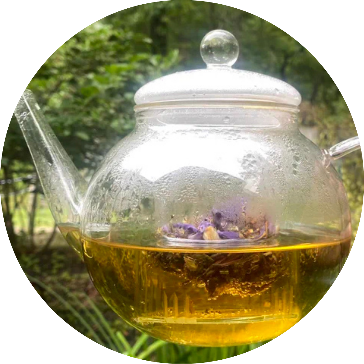 All Herbs + Tea Blends