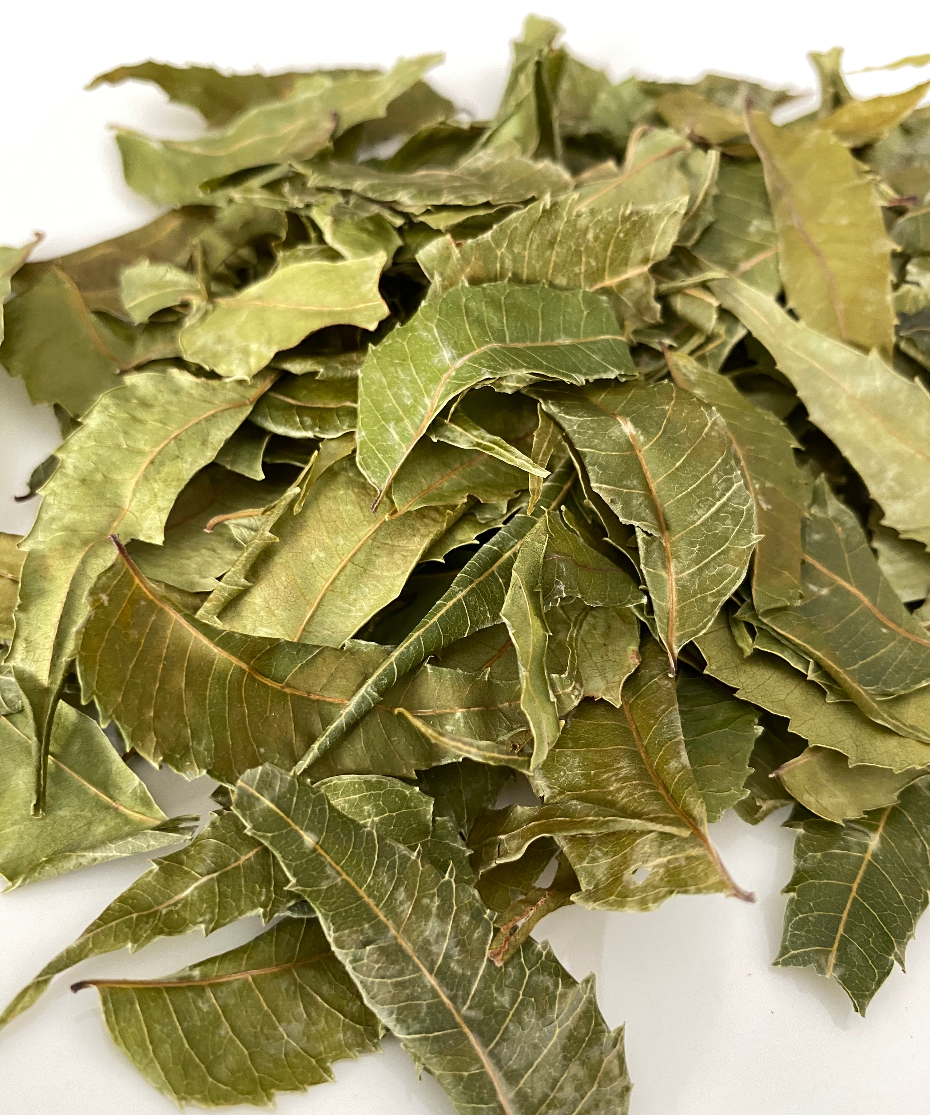 Organic Neem Leaves (Azadirachta indica), 100% Natural Whole Leaf - 1 oz (28g) - Ayoni Wellness