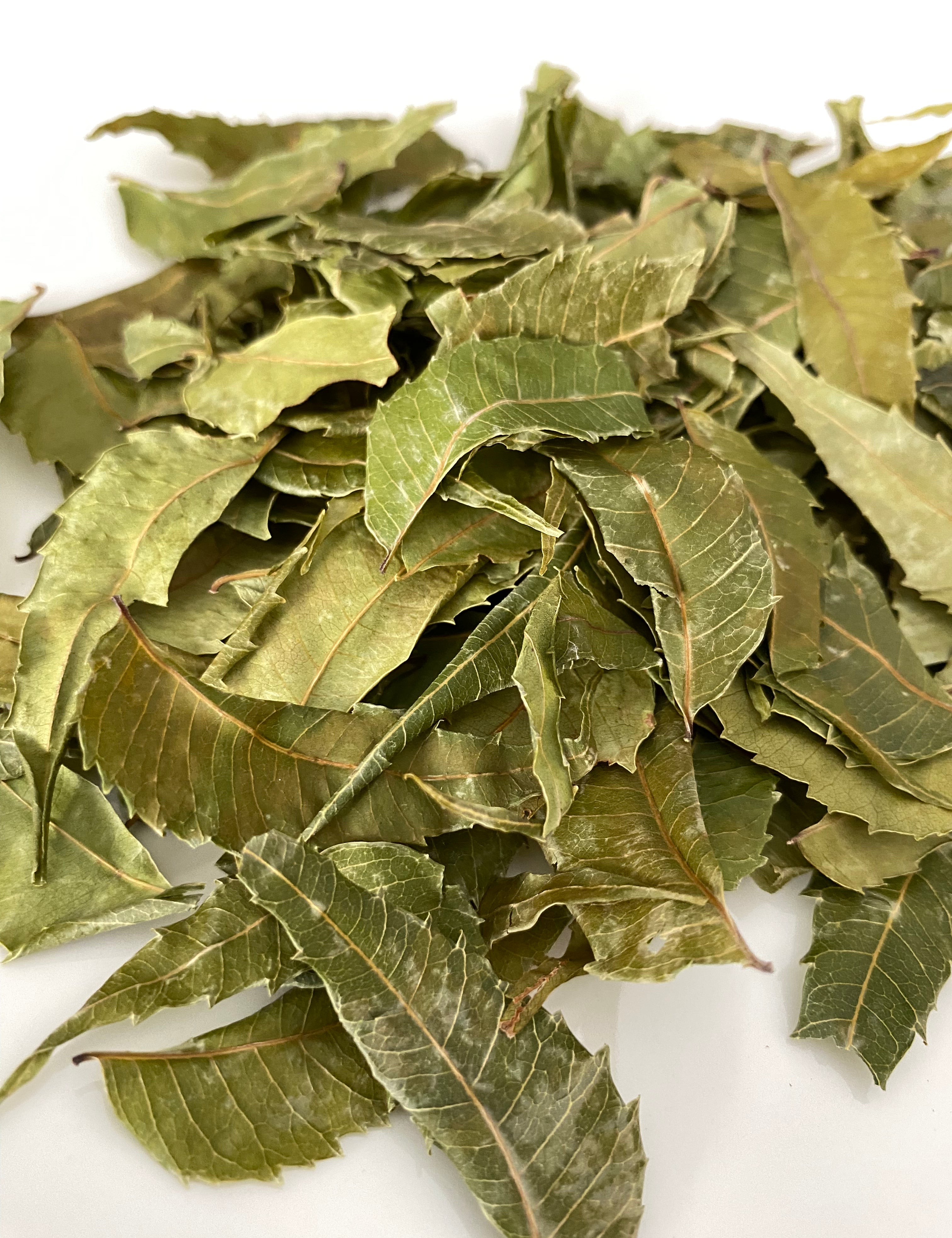 Organic Neem Leaves (Azadirachta indica), 100% Natural Whole Leaf - 1 oz (28g) - Ayoni Wellness