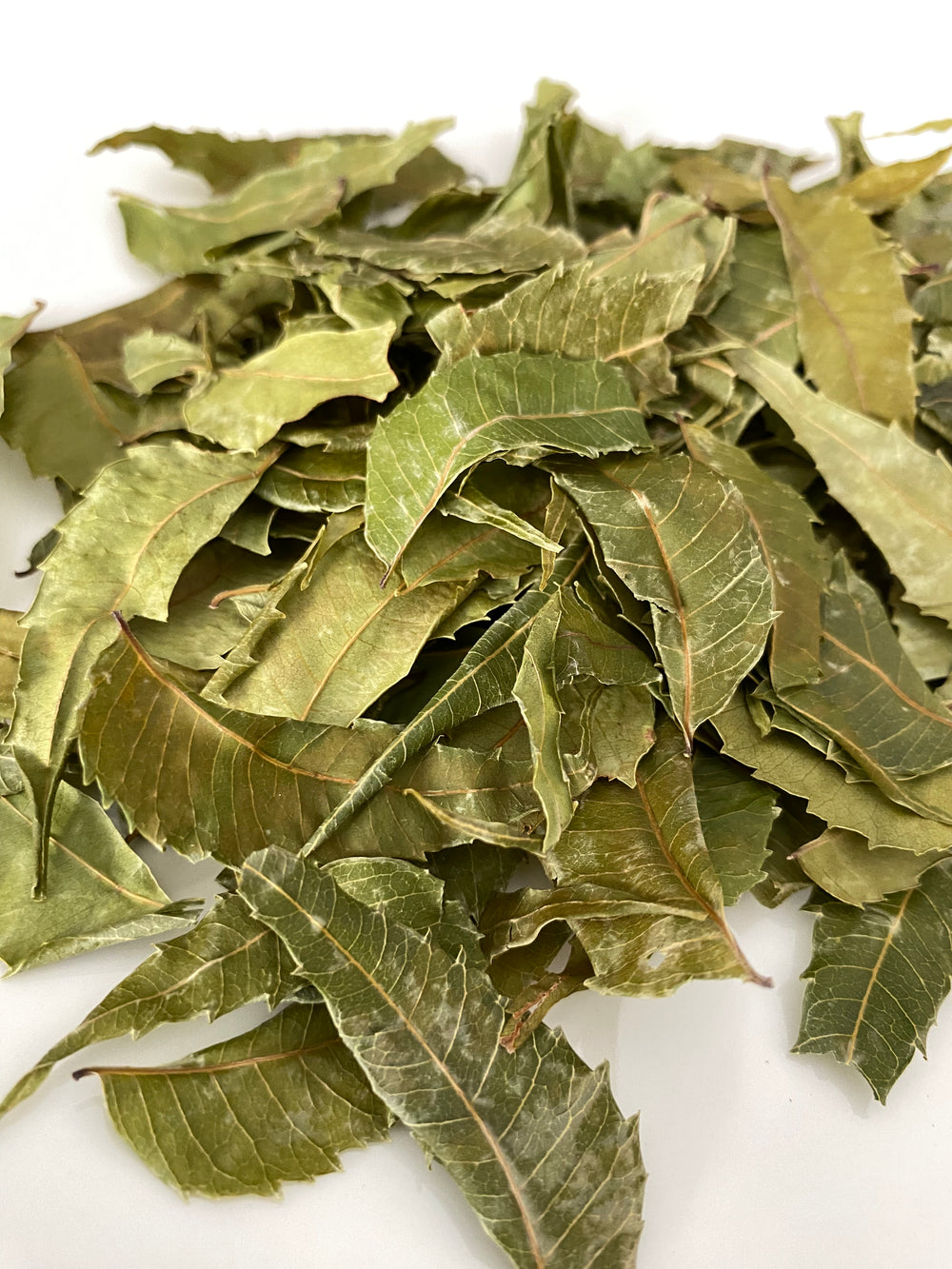 Organic Neem Leaves (Azadirachta indica), 100% Natural Whole Leaf - 1 oz (28g) - Ayoni Wellness