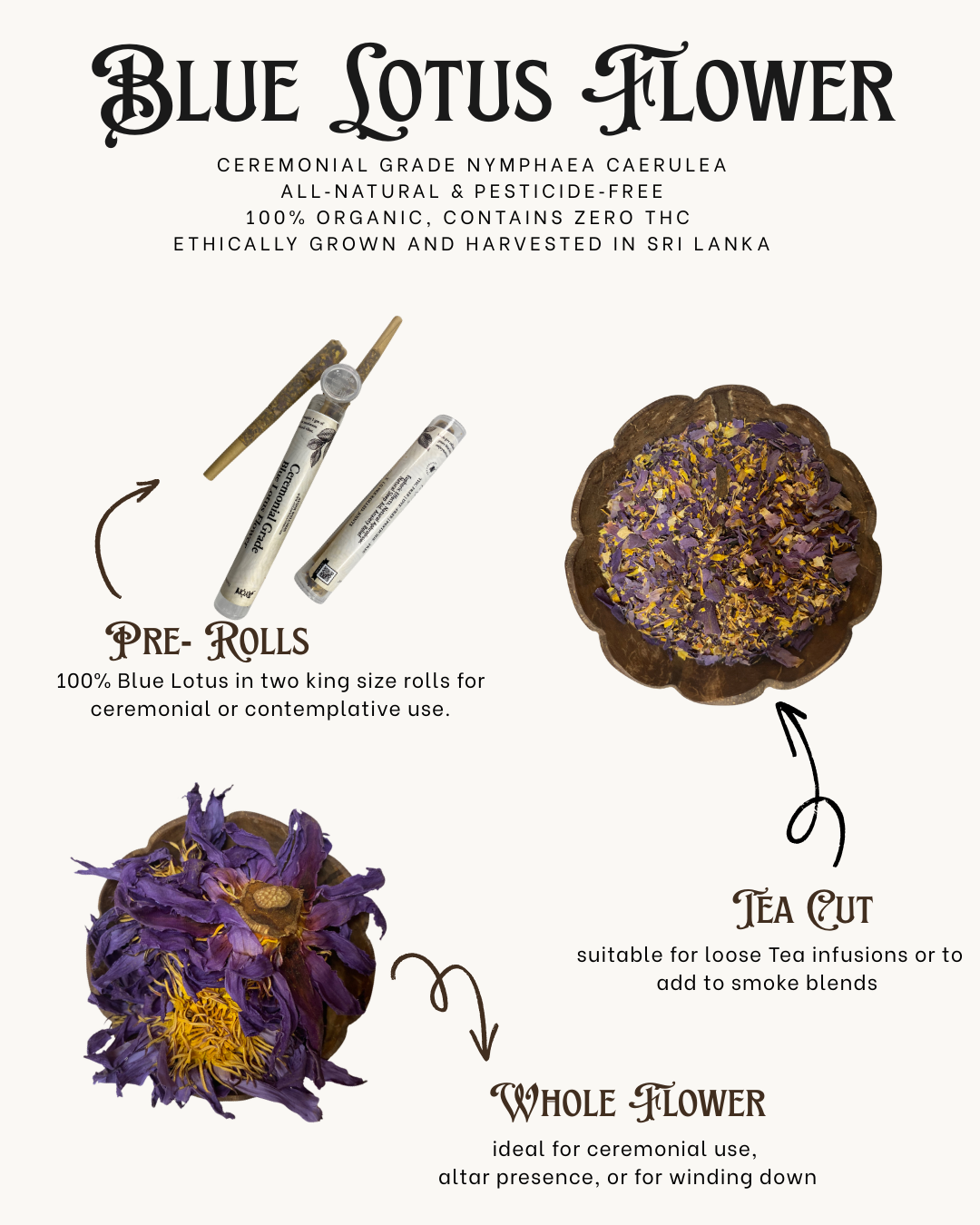 Dr. OG's Organic Blue Lotus Flower Ayoni Wellness Dr. OG's Organic Blue Lotus Flower Ayoni Wellness