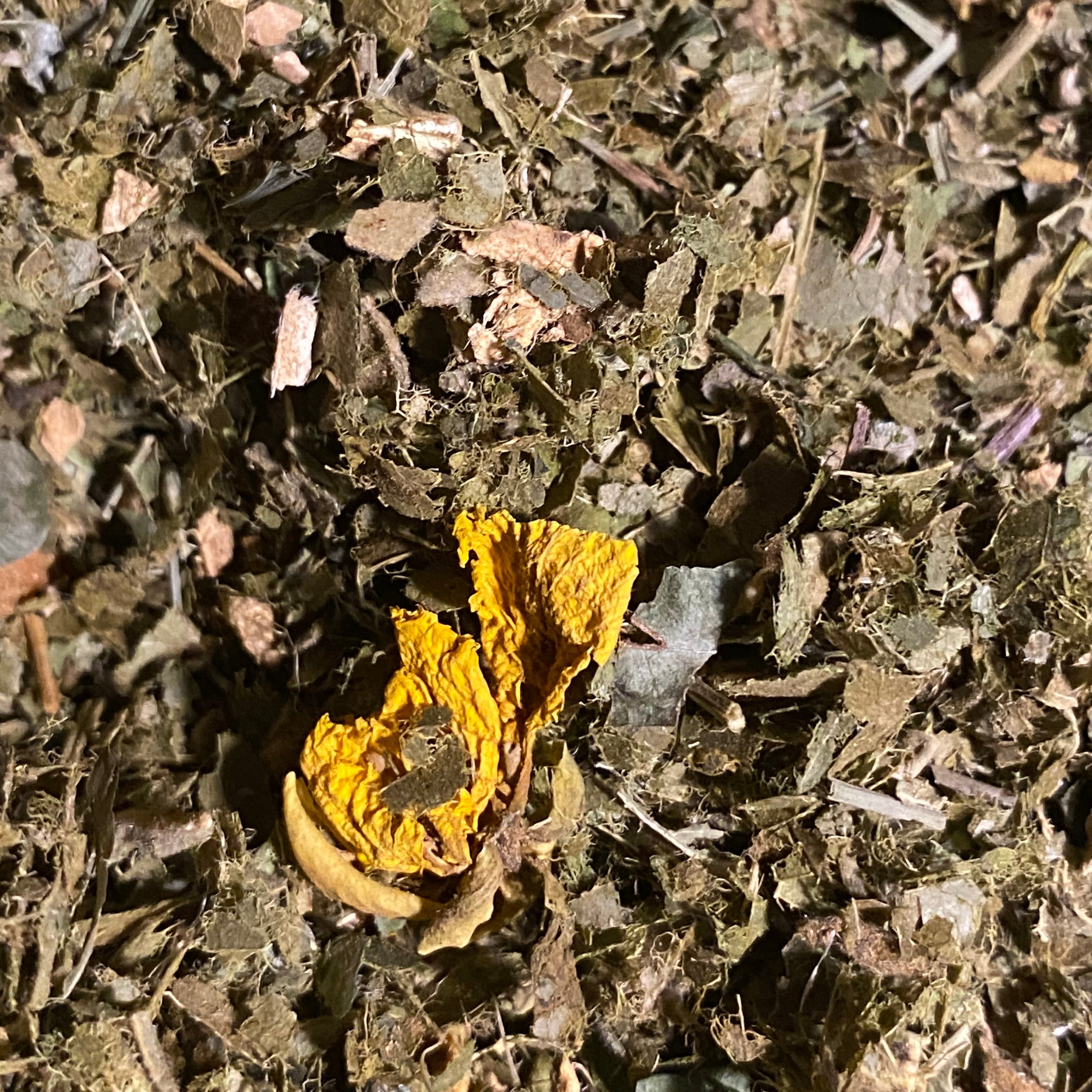 Close-up of a small yellow flowers inside herbal tea blend for inflammation