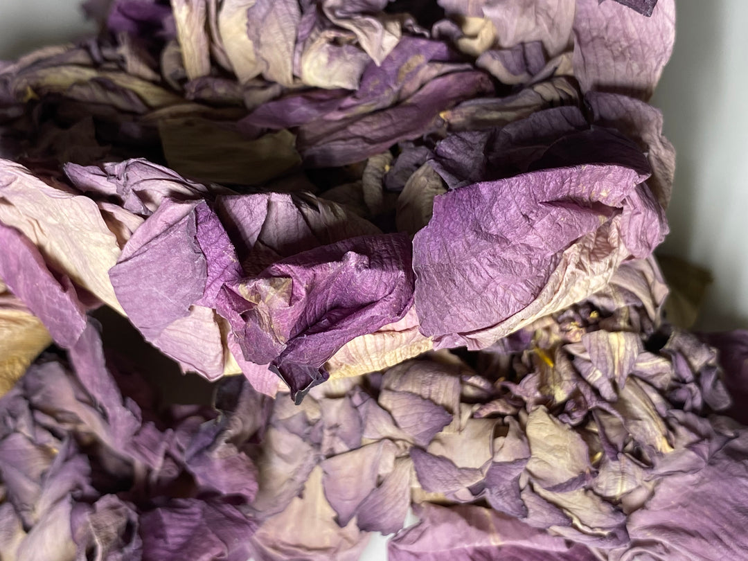 Pink Sacred Lotus (Nelumbo Nucifera) Organic WHOLE Flower and Stamen - Ayoni Wellness
