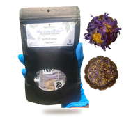 Organic Blue Lotus Flower | Dried Nymphaea caerulea