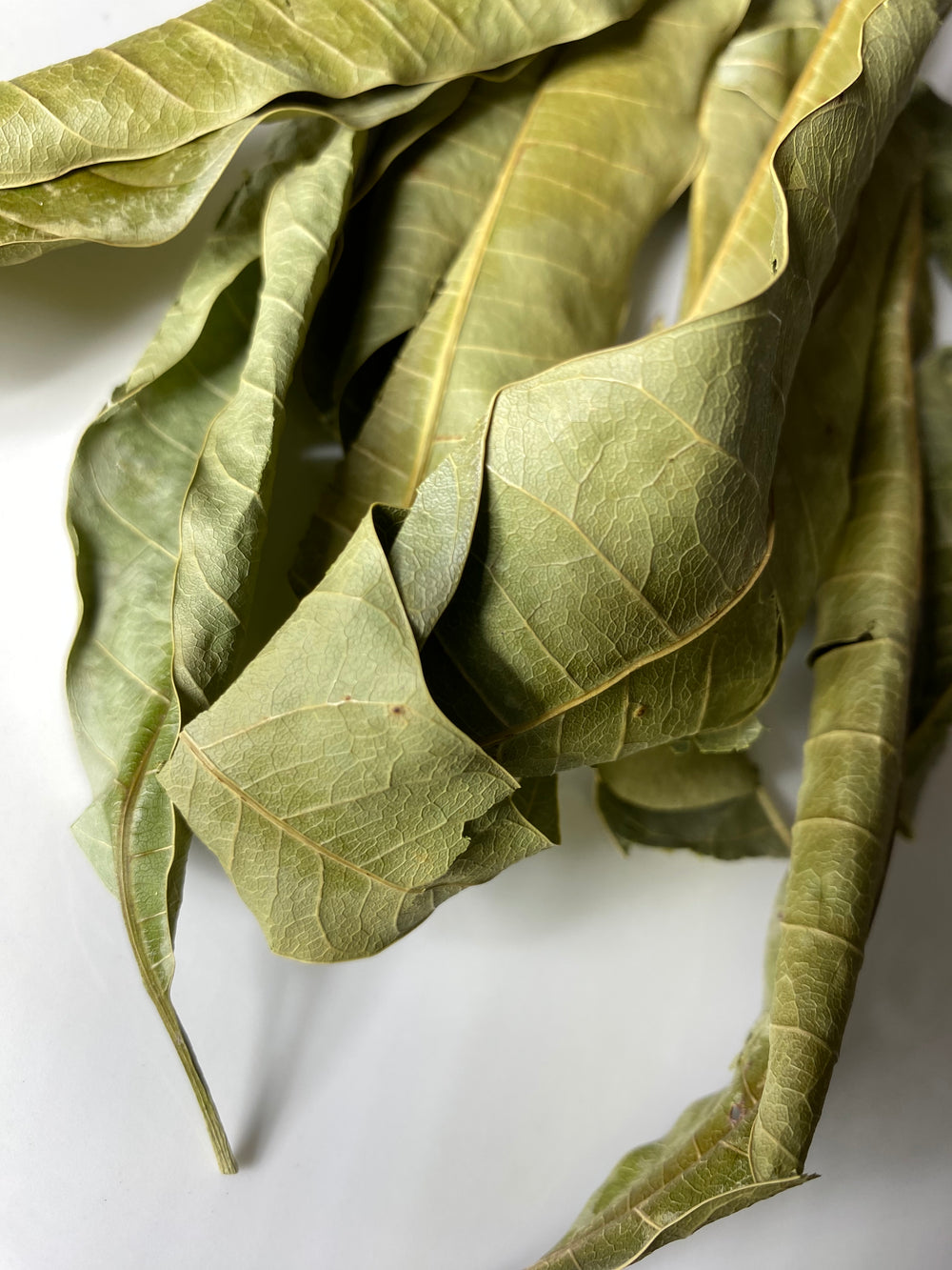 Naturally Grown Mango Leaves (Mangifera indica), Whole Leaf - 1 oz (28g) - Ayoni Wellness