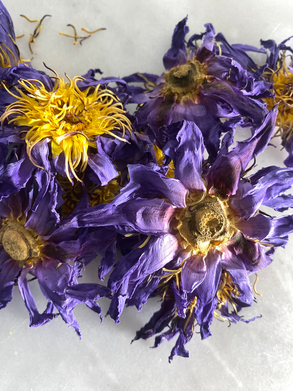 Blue Lotus Flower Infused Fragrance Oil Roller - Ayoni Wellness