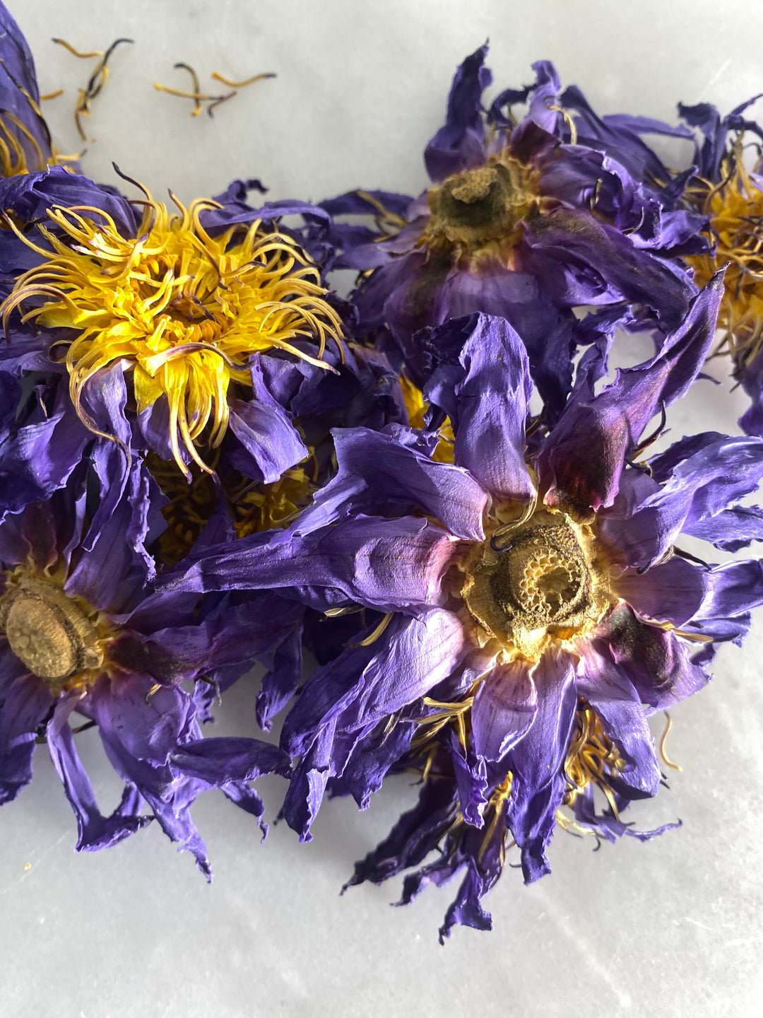 Blue Lotus Flower Infused Fragrance Oil Roller
