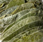 Organic Soursop Leaves, WHOLE Dried Leaf - 1 oz (28 g) - Ayoni Wellness