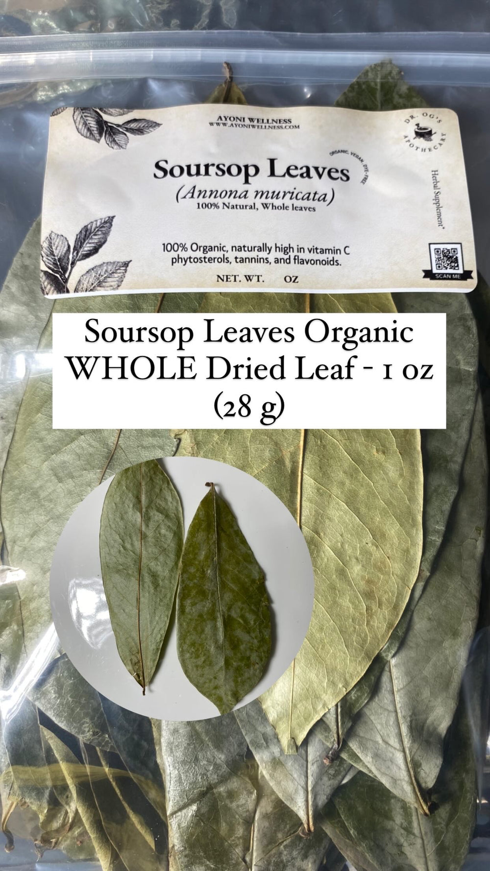 Organic Soursop Leaves, WHOLE Dried Leaf - 1 oz (28 g) - Ayoni Wellness