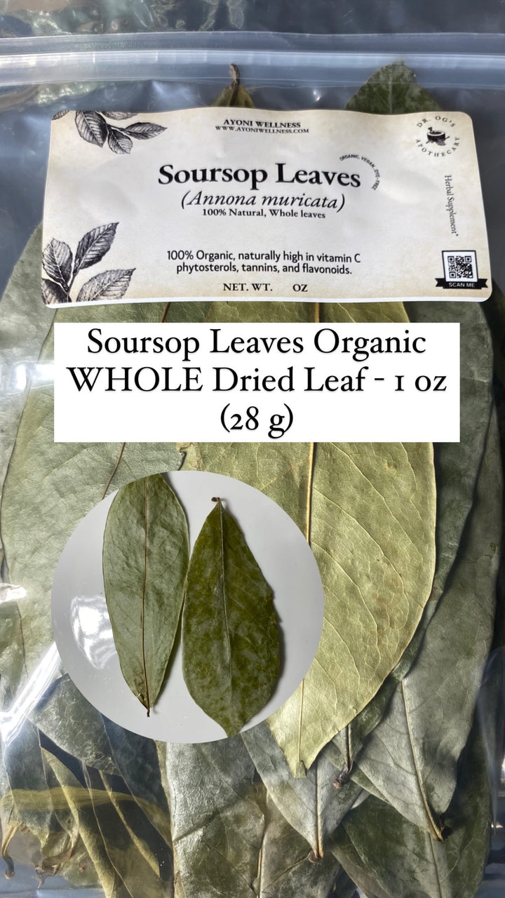 Organic Soursop Leaves, WHOLE Dried Leaf - 1 oz (28 g)