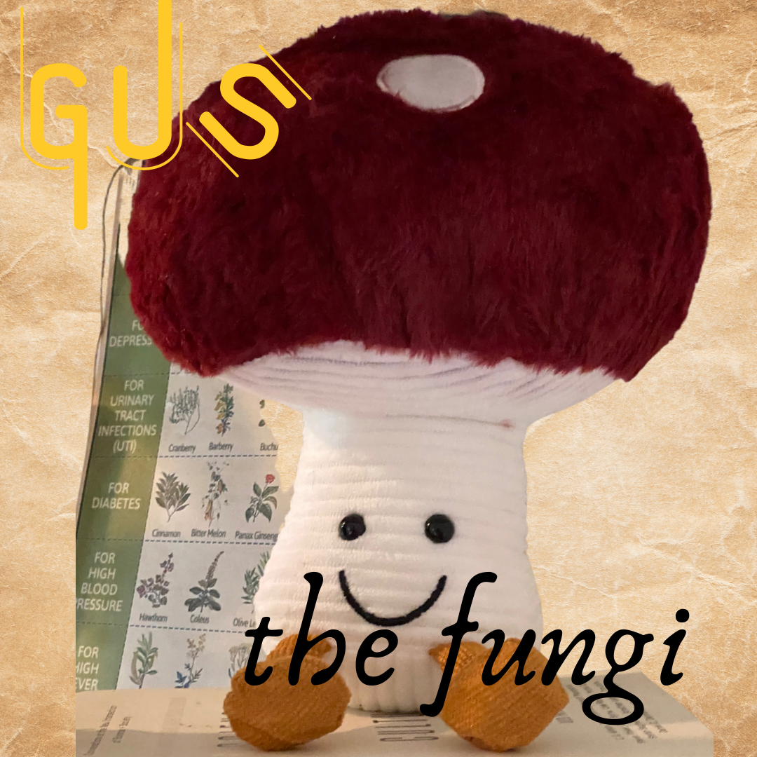 Gus the Fungi  Mushroom Plushie - Ayoni Wellness