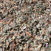 Close-up of dried herbs and leaves on a textured surface, Herbs for yeast infection and candida by ayoni wellness