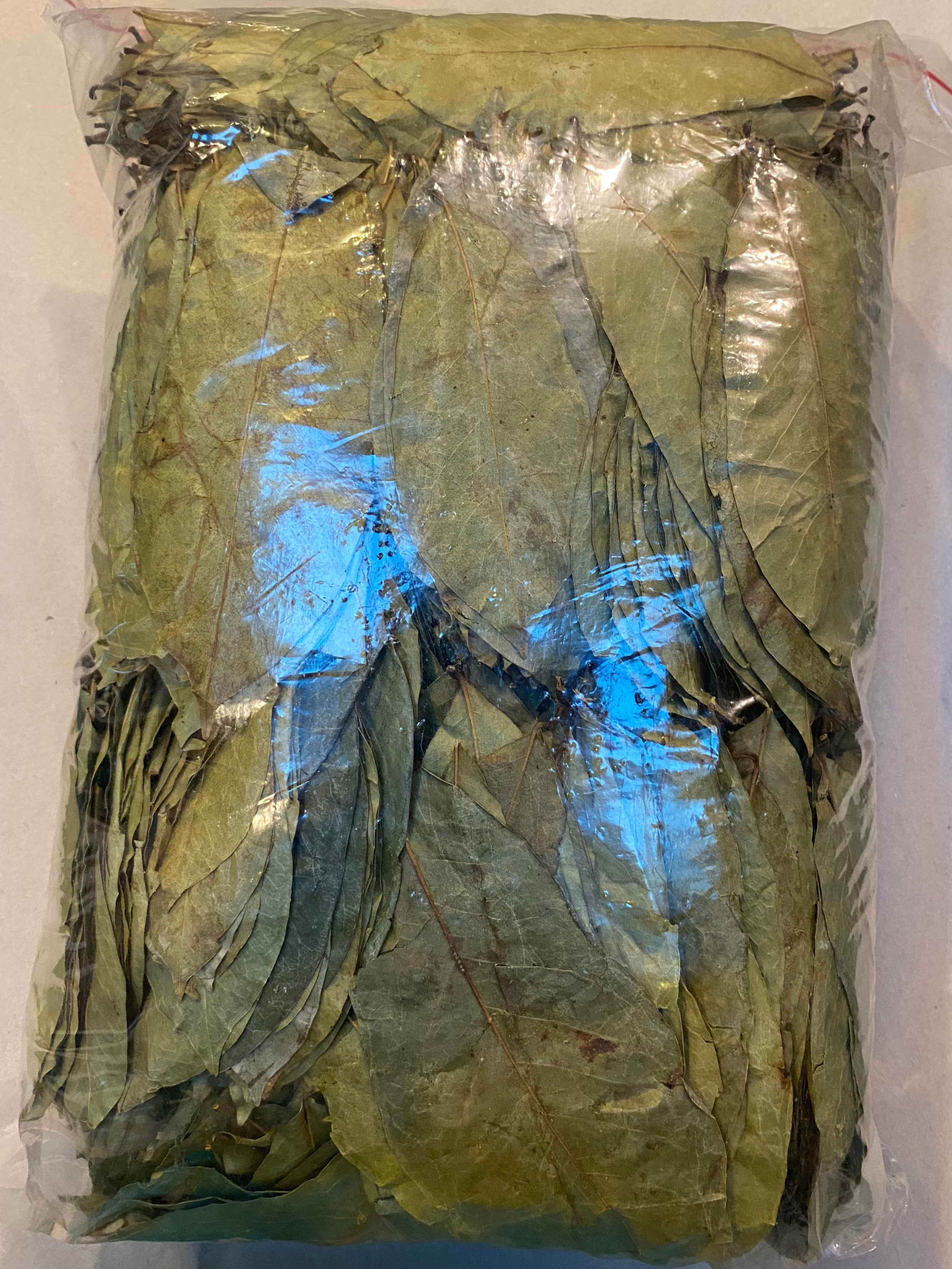 Soursop Leaf Organic Wholesale