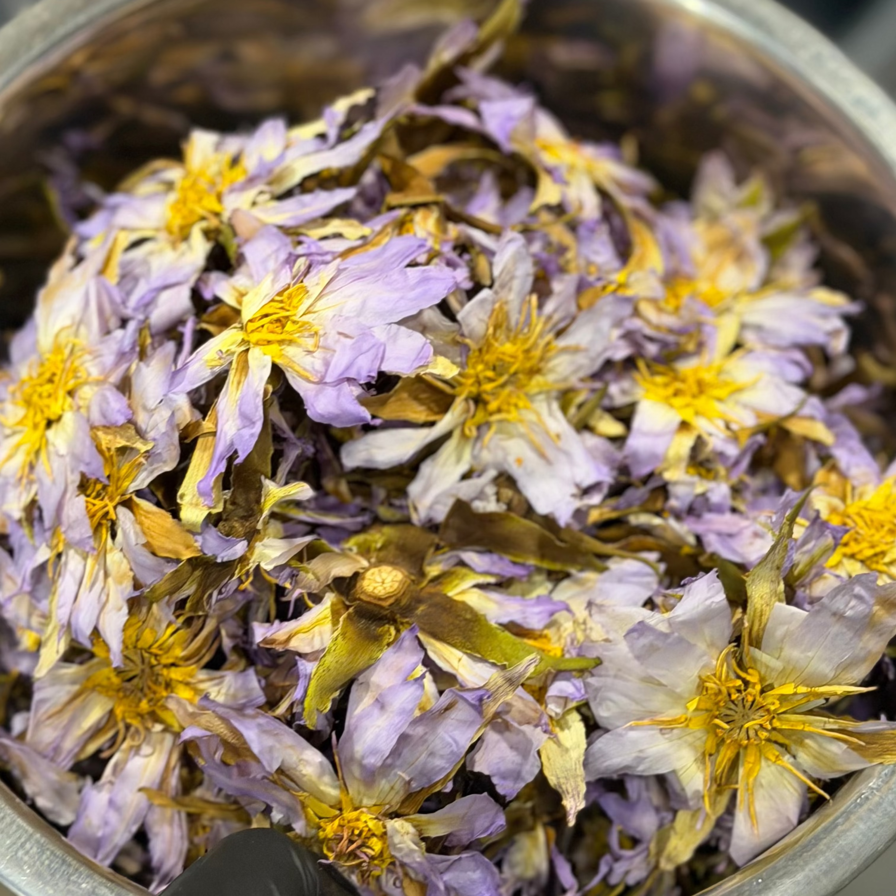 Real Nymphaea Caerulea (True Egyptian Blue Lotus) Whole Flower Herbal Tea