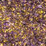 Organic Blue Lotus Flower | THC Free Ceremonial Grade Cut/Sifted