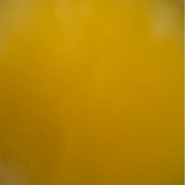 ayoni_blue_lotus_tea_bags_3.png