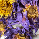 Organic Blue Lotus Whole Flower | Dried Nymphaea caerulea
