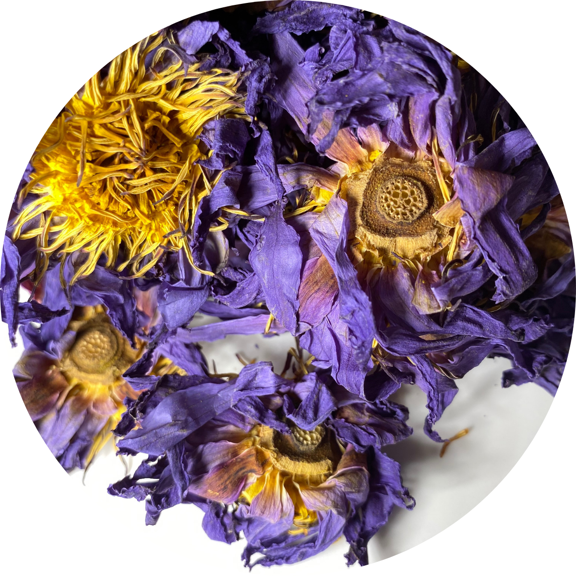 Blue Lotus Flower Organic Whole Flower Petals &amp; Stamen