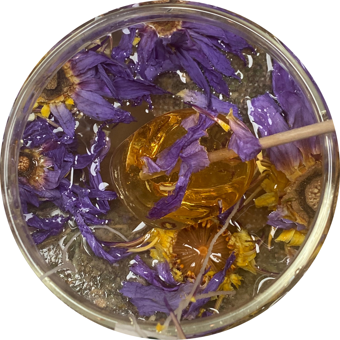 Blue Lotus Flower Organic Whole Flower Petals &amp; Stamen