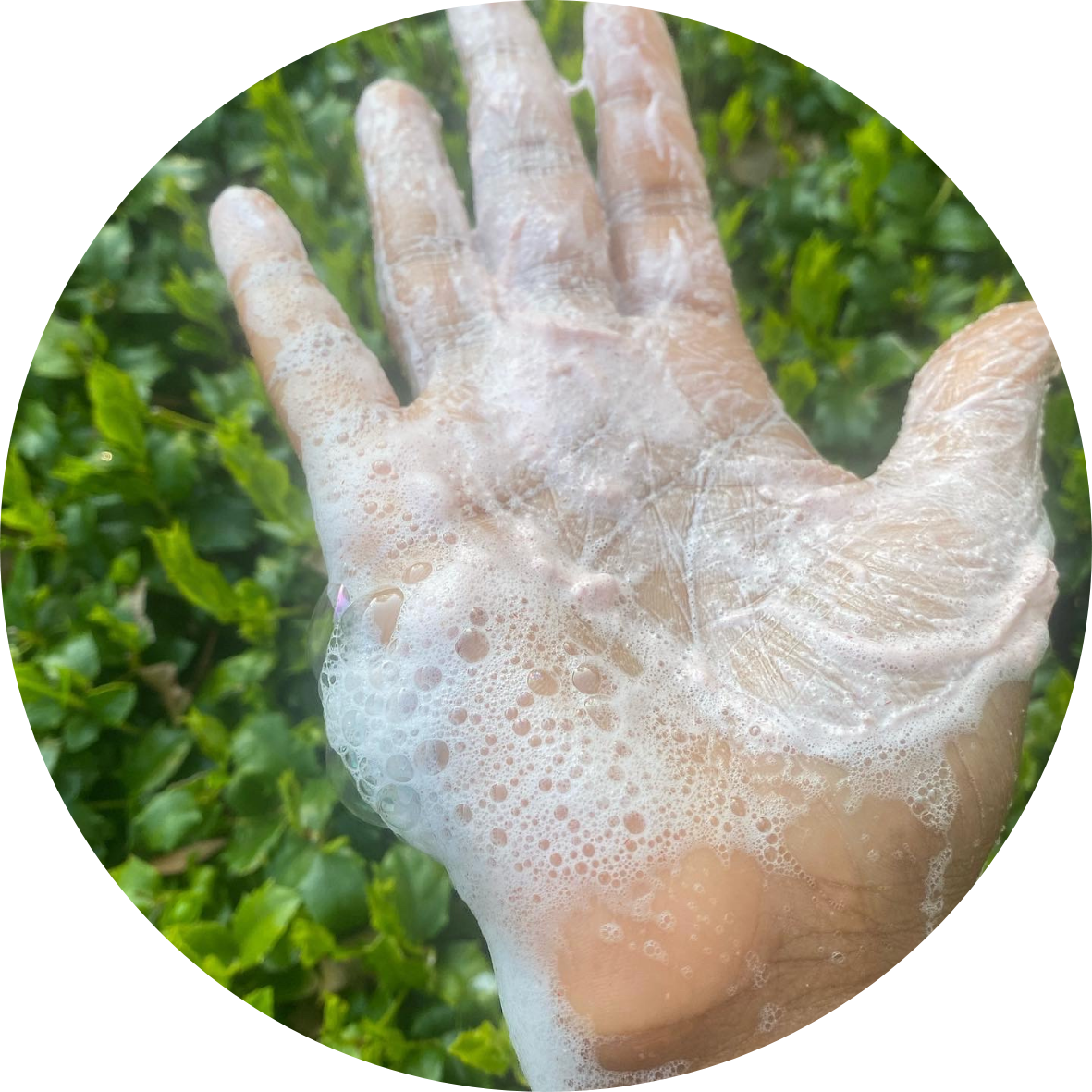 ayoni_wellness_butter_scrub_suds_hand.png