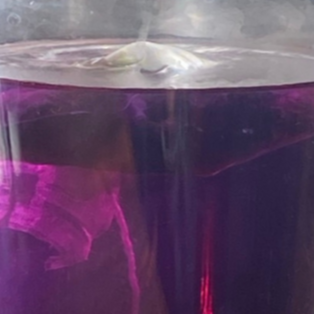 ayoni_wellness_butterfly_pea_flower_color_change.png