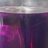 Butterfly Pea Flower Organic