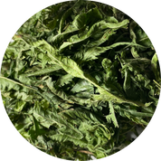Kalawalla Fern Wildcrafted Tea bags