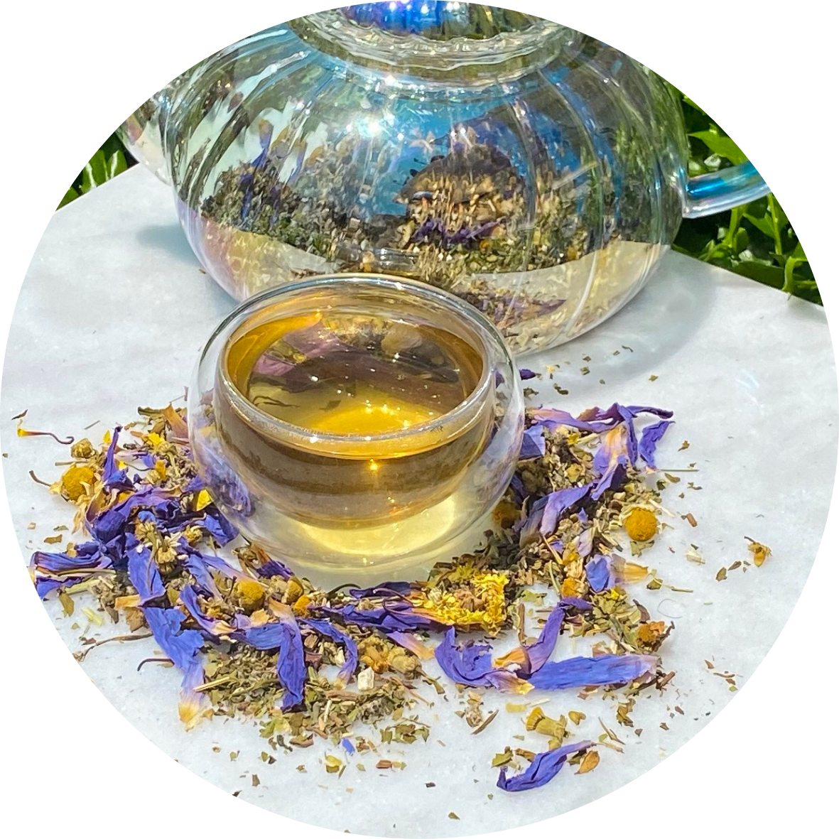 Organic Lucid Dream Herbal Tea