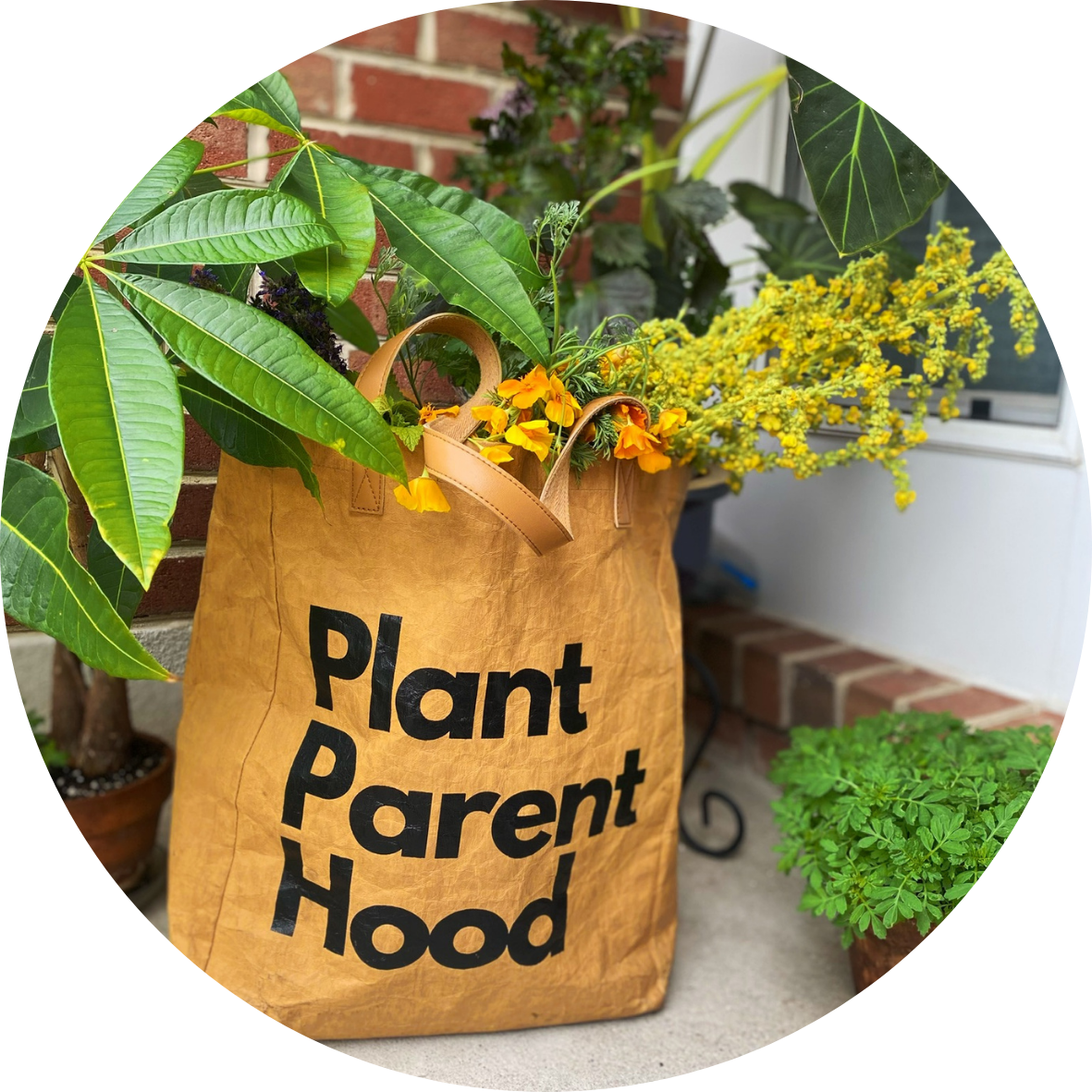 ayoni_wellness_plant_parent_hood_tote_bag.png