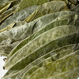 Soursop Leaf Organic