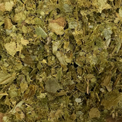 Soursop Leaf Organic Tea Bags