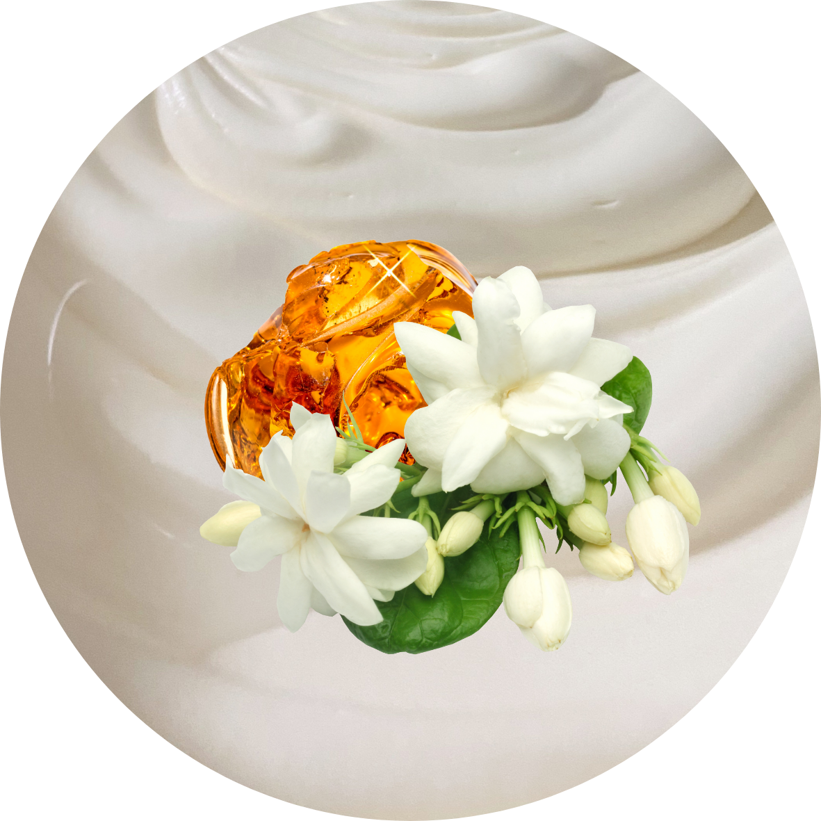 ayoni_wellness_teakwood_body_butter_cover.png