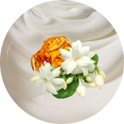 Morning Teakwood Whipped Body Butter