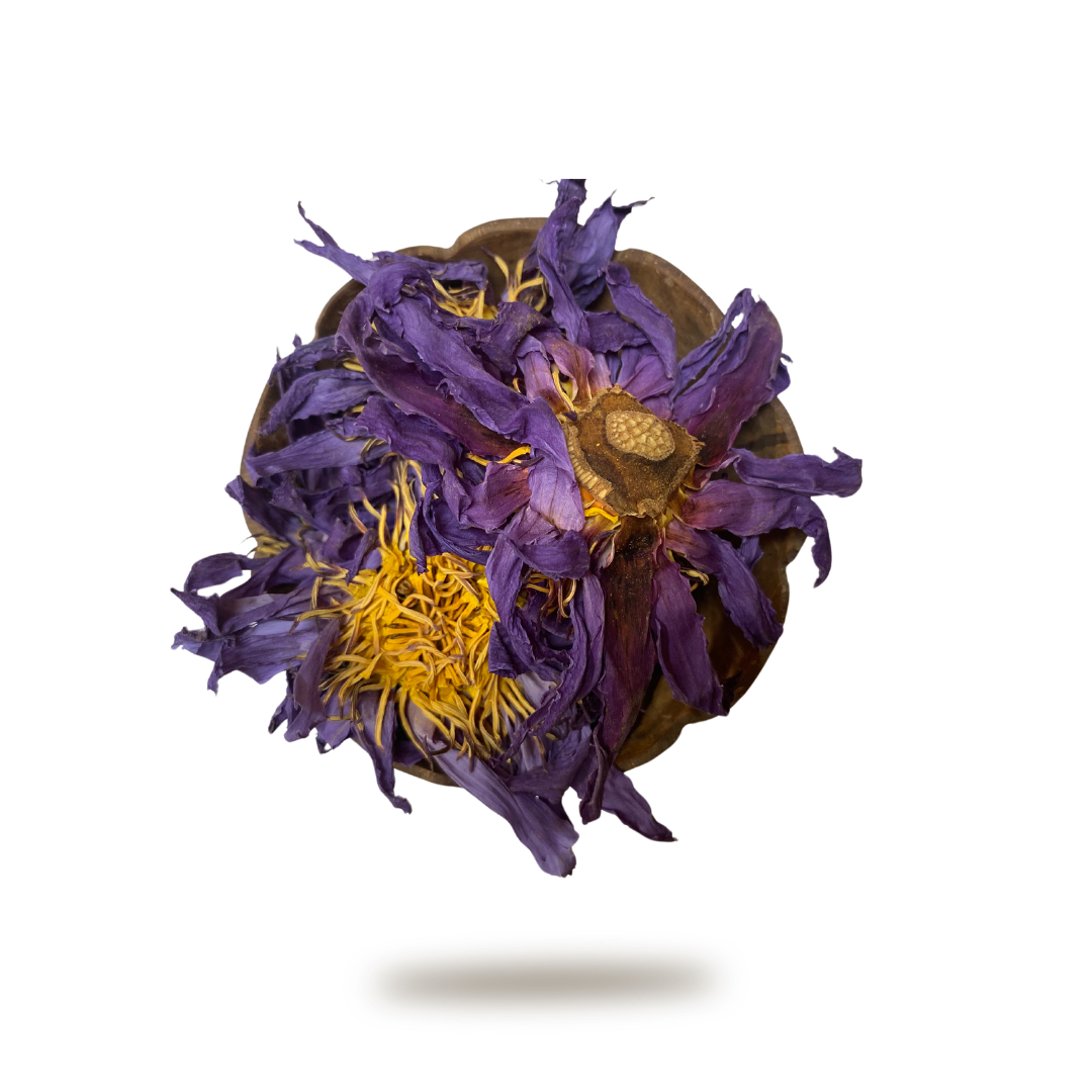 Blue Lotus Flower Organic