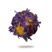 Blue Lotus Flower Organic