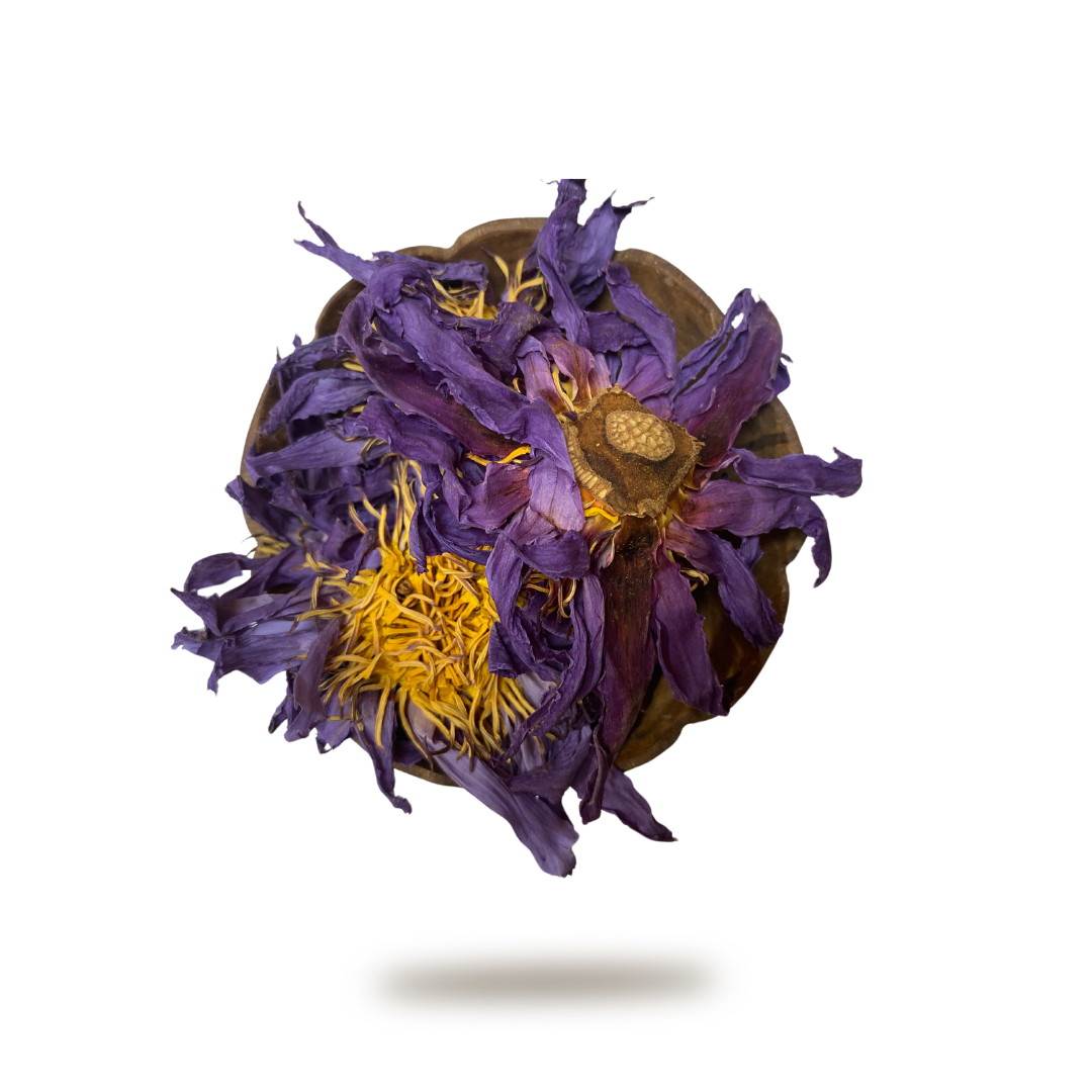 Blue Lotus Flower Organic Whole Flower Petals &amp; Stamen