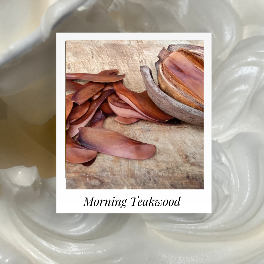 morningteakwoodbodybutterpic_e6d97703-2fc9-426f-9ccd-1b52d97641e6.png