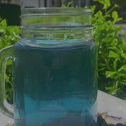 Purple Haze Organic Herbal Tea